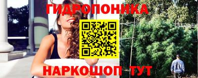 гидра Краснодар